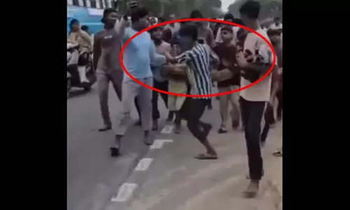 जब अजगर बन गया बच्चों का खिलौना, नजारा देखकर लोग हैरान, देखें वीडियो