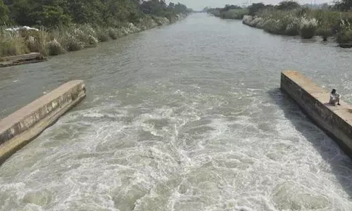 नर्मदा नदी की स्थिति पर नज़र, शहडोल स्टेशन पर पानी भरने से अलर्ट जारी नर्मदा नदी की स्थिति पर नज़र, शहडोल स्टेशन पर पानी भरने से अलर्ट जारी