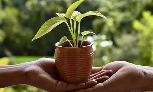Telangana: वन महोत्सव 2025 कृषि विश्वविद्यालय में पारिस्थितिक बहाली का प्रतीक होगा