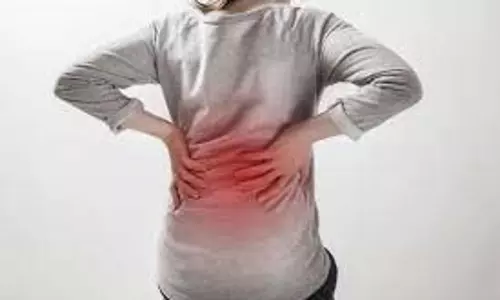 Health: कमर, घुटनों और पीठ में दर्द की असली वजह बन रही है बोन डेंसिटी की कमी, जानिए कैसे बचें
