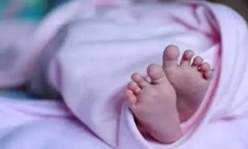 Kaithal News: सड़क किनारे मिला 5 माह का भ्रूण, पुलिस ने शुरू की जांच