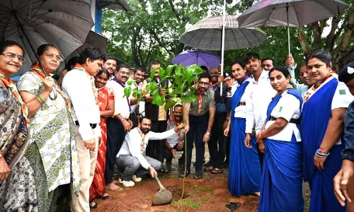महासमुंद में जनप्रतिनिधियों और अधिकारियों ने किया पौधारोपण