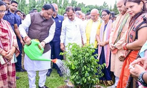 ओडिशा: सीएम माझी ने एक पेड़ मां के नाम अभियान के साथ किया वन महोत्सव का शुभारंभ