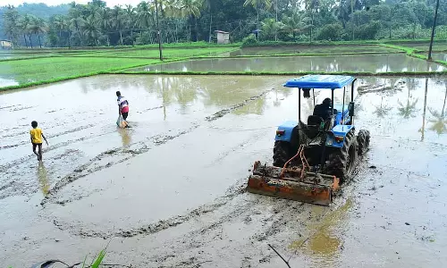 मानसून तेज है: कृषि भूमि अच्छी है