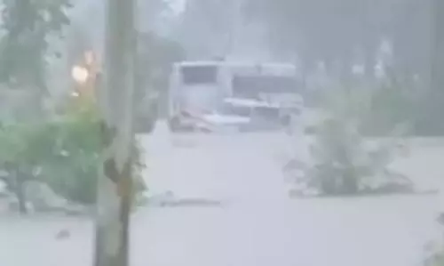 उफान नाले में फंसा बोलेरो, चालक लापरवाही पूर्वक पार करा रहा था पुल उफान नाले में फंसा बोलेरो, चालक लापरवाही पूर्वक पार करा रहा था पुल