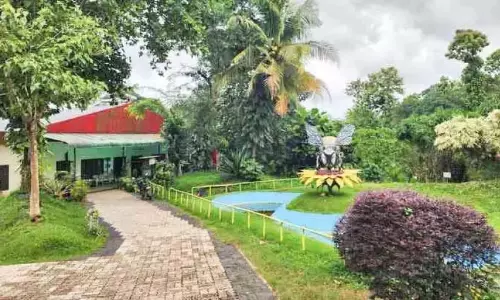 Kerala : शहद संग्रहालय और मधुमक्खी पार्क का निर्माण किया