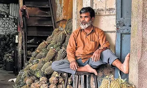 भारी बारिश: अनानास की आपूर्ति मांग के अनुरूप नहीं, किसान संकट में भारी बारिश: अनानास की आपूर्ति मांग के अनुरूप नहीं, किसान संकट में