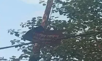 Farrukhabad: विधायक फंड से लगी लाइट बंद, बस अड्डे पर छाया अंधेरा Farrukhabad: विधायक फंड से लगी लाइट बंद, बस अड्डे पर छाया अंधेरा