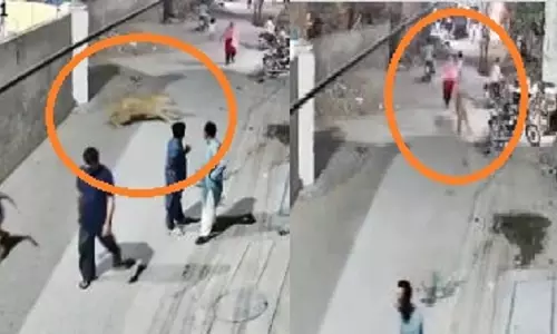 भागे हुए पालतू शेर ने लाहौर की सड़कों पर लोगों को दौड़ाया, CCTV फुटेज में हमला कैद भागे हुए पालतू शेर ने लाहौर की सड़कों पर लोगों को दौड़ाया, CCTV फुटेज में हमला कैद