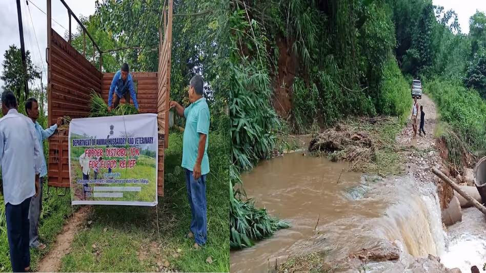 Assam : बढ़ते जल संकट के बीच कार्बी आंगलोंग जिला प्रशासन ने बाढ़ राहत प्रयास तेज़ कर दिए Assam : बढ़ते जल संकट के बीच कार्बी आंगलोंग जिला प्रशासन ने बाढ़ राहत प्रयास तेज़ कर दिए
