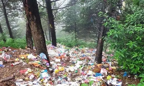 कचरे की समस्या, Shimla के जंगल प्लास्टिक कचरे से अटे पड़े कचरे की समस्या, Shimla के जंगल प्लास्टिक कचरे से अटे पड़े