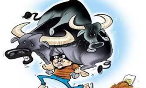 Farrukhabad: भैंस चोरी की कोशिश में दो युवक धरे गए, भीड़ ने पीटा Farrukhabad: भैंस चोरी की कोशिश में दो युवक धरे गए, भीड़ ने पीटा