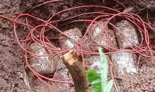 Chaibasa: नक्सलियों ने लगाए थे विस्फोटक, 16 आईईडी बरामद Chaibasa: नक्सलियों ने लगाए थे विस्फोटक, 16 आईईडी बरामद