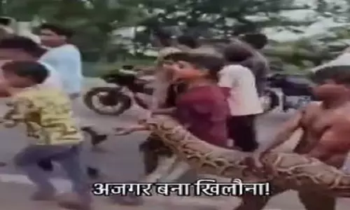15 फुट अजगर संग बच्चों की रील Viral, नंगे हाथों फोटो पर मचा बवाल 15 फुट अजगर संग बच्चों की रील Viral, नंगे हाथों फोटो पर मचा बवाल