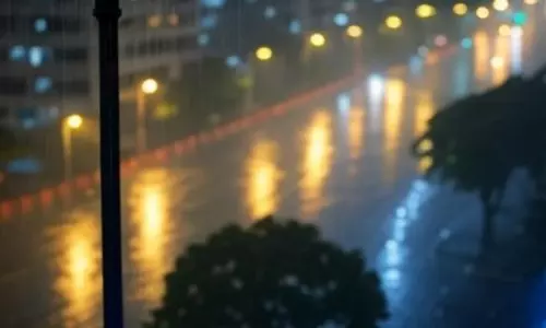 तमिलनाडु में 10 जुलाई तक कई इलाकों में हल्की से लेकर भारी बारिश की संभावना तमिलनाडु में 10 जुलाई तक कई इलाकों में हल्की से लेकर भारी बारिश की संभावना