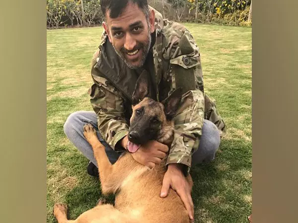MS Dhoni के 44वें जन्मदिन के जश्न का वीडियो वायरल MS Dhoni के 44वें जन्मदिन के जश्न का वीडियो वायरल