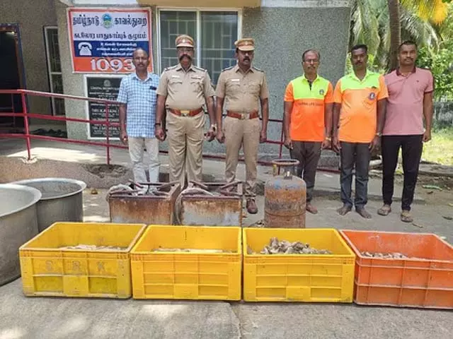 Nagapattinam में 130 किलोग्राम समुद्री शंख जब्त Nagapattinam में 130 किलोग्राम समुद्री शंख जब्त