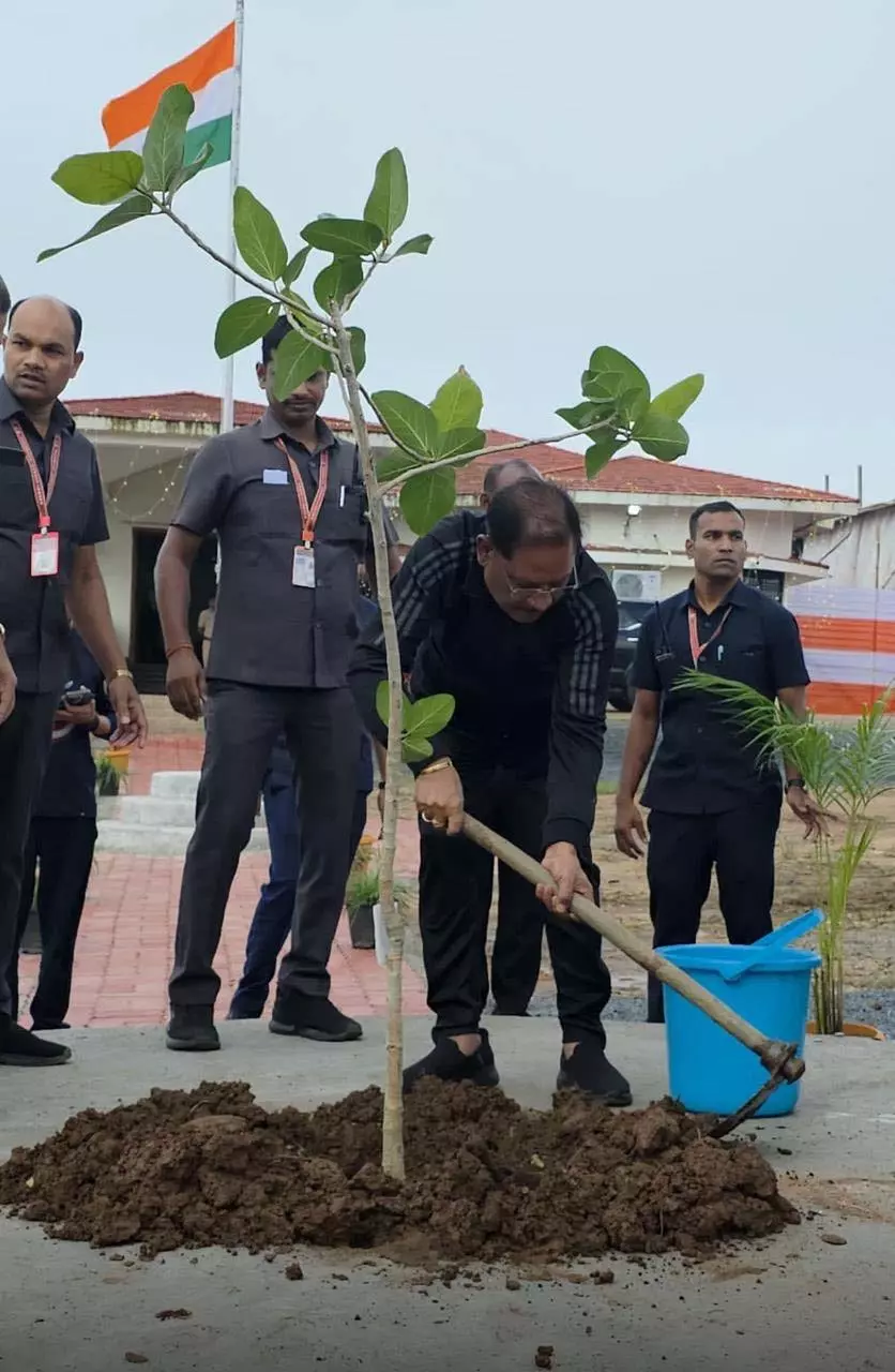 CM साय ने मैनपाट पीडब्ल्यूडी रेस्ट हाउस में लगाया बरगद का पौधा CM साय ने मैनपाट पीडब्ल्यूडी रेस्ट हाउस में लगाया बरगद का पौधा