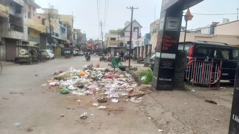 Yamunanagar की सड़कों पर मवेशी चारे के बदले घरेलू कचरा फेंक रहे हैं Yamunanagar की सड़कों पर मवेशी चारे के बदले घरेलू कचरा फेंक रहे हैं