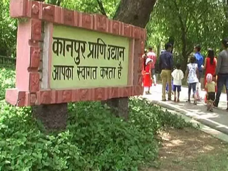 Kanpur: 56 दिन बाद खुले कानपुर-गोरखपुर चिड़ियाघर Kanpur: 56 दिन बाद खुले कानपुर-गोरखपुर चिड़ियाघर