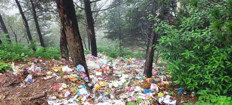खुले में कूड़ा फेंकने पर MC ने सफाईकर्मी को निलंबित किया खुले में कूड़ा फेंकने पर MC ने सफाईकर्मी को निलंबित किया