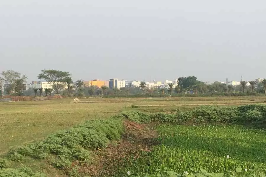 अनियंत्रित शहरीकरण से Calcutta की आर्द्रभूमि को खतरा पर संपादकीय अनियंत्रित शहरीकरण से Calcutta की आर्द्रभूमि को खतरा पर संपादकीय