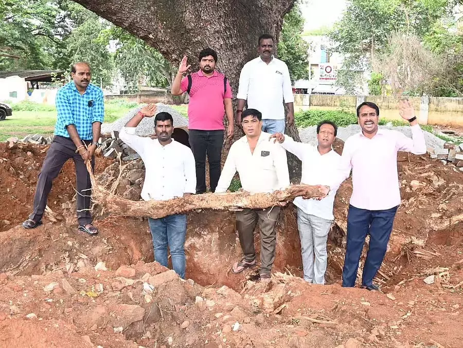 विकास के नाम पर पेड़ों को काटने की जरूरत नहीं: कर्नाटक हितरक्षण वेदिके विकास के नाम पर पेड़ों को काटने की जरूरत नहीं: कर्नाटक हितरक्षण वेदिके