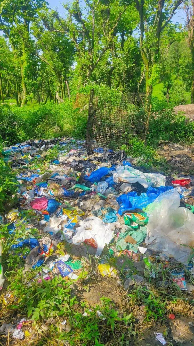 Himachal: सरकारी उदासीनता के कारण बीर-बिलिंग कचरा संकट से जूझ रहा Himachal: सरकारी उदासीनता के कारण बीर-बिलिंग कचरा संकट से जूझ रहा