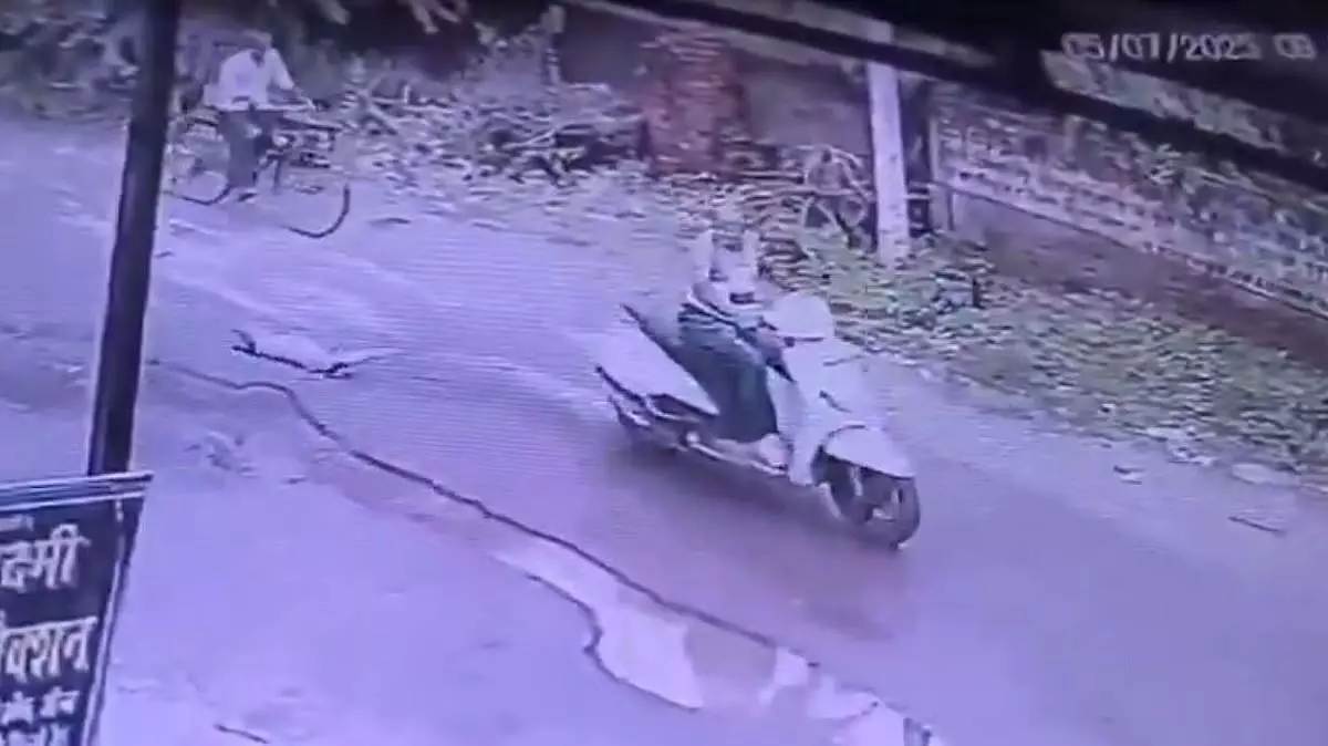 UP : झांसी में कुत्ते को स्कूटर से बांधकर घसीटा गया UP : झांसी में कुत्ते को स्कूटर से बांधकर घसीटा गया