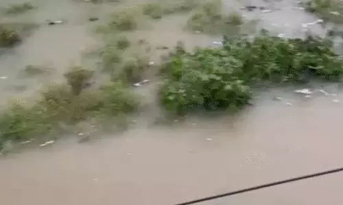 104 लोगों की मौत, बाढ़ से चारों ओर तबाही