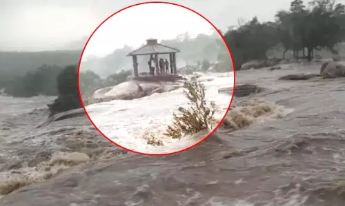 वाटरफॉल शबाब पर, घूमने पहुंचे 5 लोग फंसे वाटरफॉल शबाब पर, घूमने पहुंचे 5 लोग फंसे
