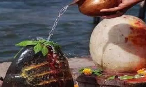 Sawan 2025:   शिवलिंग की पूजा करते समय रखें सही क्रम का ध्यान, तभी मिलेगा पूजा का फल
