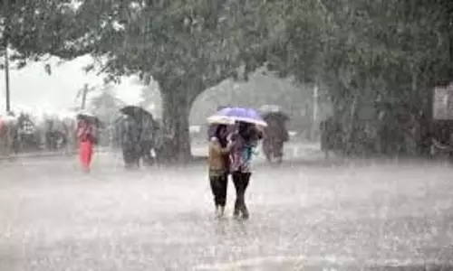 Punjab: बारिश और तूफान को लेकर बड़ा अपडेट,मौसम विभाग ने जारी किया अलर्ट
