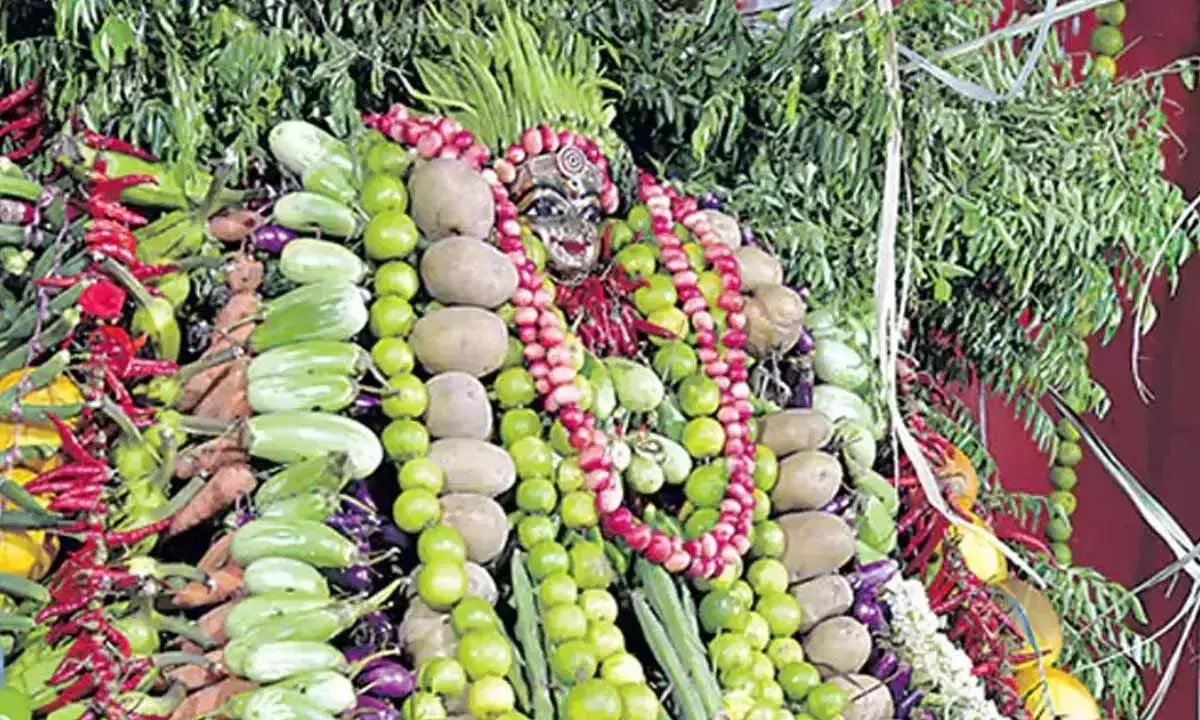 Andhra: विजयवाड़ा के इंद्रकीलाद्री में शाकंभरी उत्सव शुरू हुआ