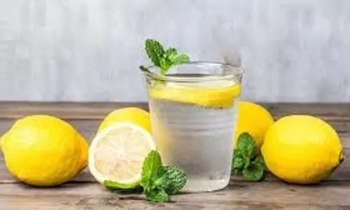 Health: वजन घटाने के लिए नींबू और शहद का पानी पीना कितना फायदेमंद है Health: वजन घटाने के लिए नींबू और शहद का पानी पीना कितना फायदेमंद है