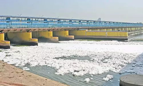 कार्यकर्ताओं ने यमुना सफाई प्रयासों में भ्रष्टाचार और निष्क्रियता को उजागर किया कार्यकर्ताओं ने यमुना सफाई प्रयासों में भ्रष्टाचार और निष्क्रियता को उजागर किया
