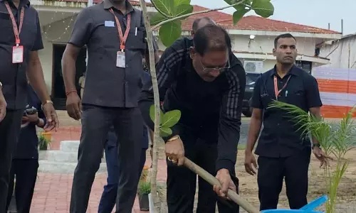 CM साय ने मैनपाट पीडब्ल्यूडी रेस्ट हाउस में लगाया बरगद का पौधा CM साय ने मैनपाट पीडब्ल्यूडी रेस्ट हाउस में लगाया बरगद का पौधा