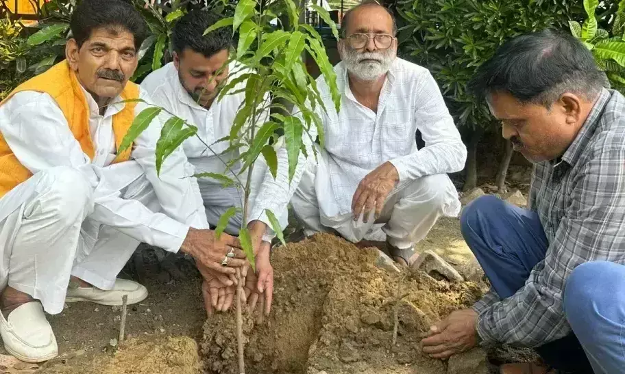 Badaun: हामिद अली खां राजपूत ने जन्मदिन पर लगाया पौधा Badaun: हामिद अली खां राजपूत ने जन्मदिन पर लगाया पौधा