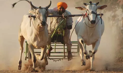 Punjab: सरकार ने ग्रामीण खेल आयोजनों में बैलगाड़ी दौड़ का रास्ता साफ किया Punjab: सरकार ने ग्रामीण खेल आयोजनों में बैलगाड़ी दौड़ का रास्ता साफ किया