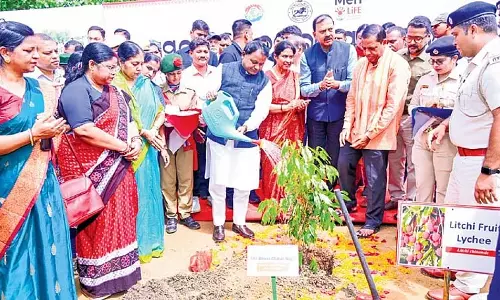 ओडिशा 10 लाख हरित आजीविका का सृजन करेगा: CM Majhi ओडिशा 10 लाख हरित आजीविका का सृजन करेगा: CM Majhi