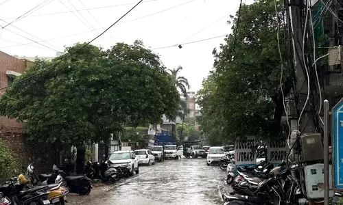 Rohtak : डीएलएफ निवासियों ने सौर स्ट्रीट लाइट और सीसीटीवी कैमरे की मांग की