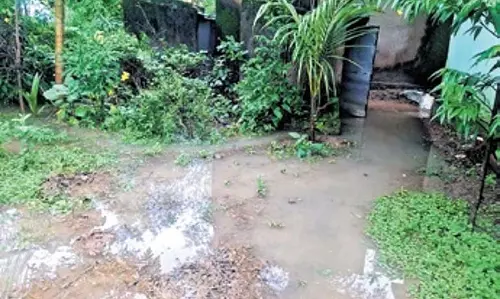 Odisha: बाढ़ का पानी कम होने के साथ कुचिंडा में सुधार शुरू
