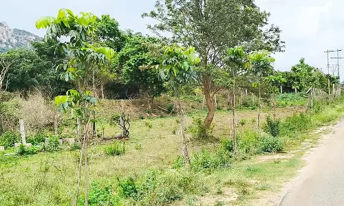 Tumkur : ग्रीन विलेज परियोजना के तहत लगाए गए 10,000 पेड़ सूख गए और जीर्ण-शीर्ण हो गए
