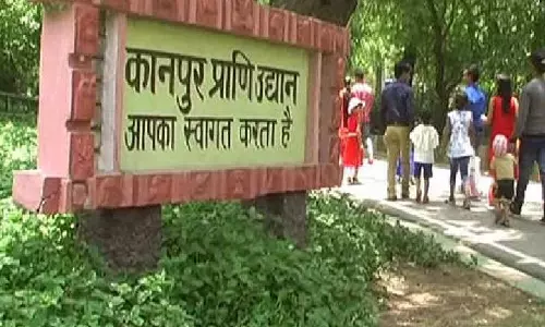 Kanpur: 56 दिन बाद खुले कानपुर-गोरखपुर चिड़ियाघर Kanpur: 56 दिन बाद खुले कानपुर-गोरखपुर चिड़ियाघर
