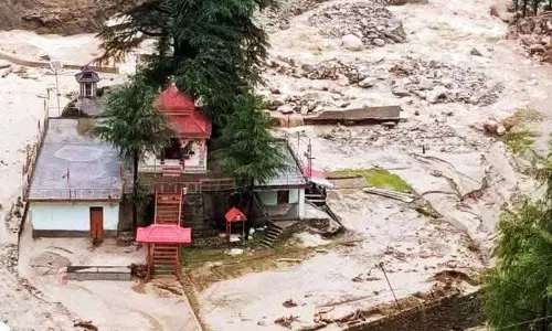 बादल फटने के बाद मंडी के पंडोह बांध में तैर रही लकड़ी की जांच CID ​​करेगी