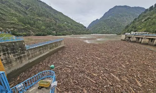 Pandoh dam में तैरती लकड़ी की जांच करेगी सीआईडी