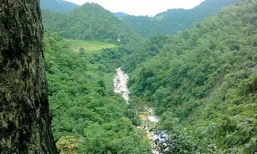 Adilabad में वनपालों-काश्तकारों के बीच पोडू भूमि विवाद बढ़ता जा रहा