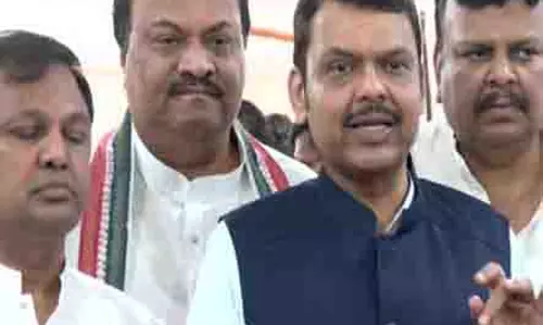 दुबे की टिप्पणी आम मराठी लोगों पर नहीं: Fadnavis