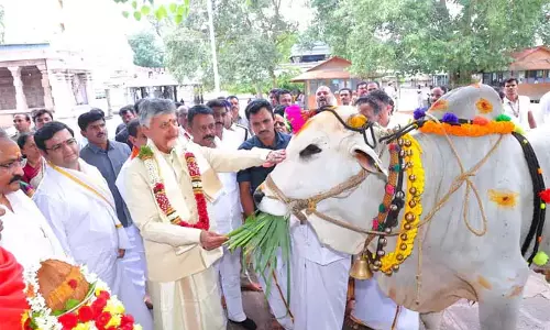 Andhra : सीएम चंद्रबाबू का श्रीशैलम दौरा 4 गेट खोले गए और पानी छोड़ा गया