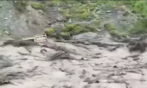 Himachal के गांव में भूस्खलन के बाद कुत्ते की आधी रात को भौंकने से 67 लोगों की जान बच गई